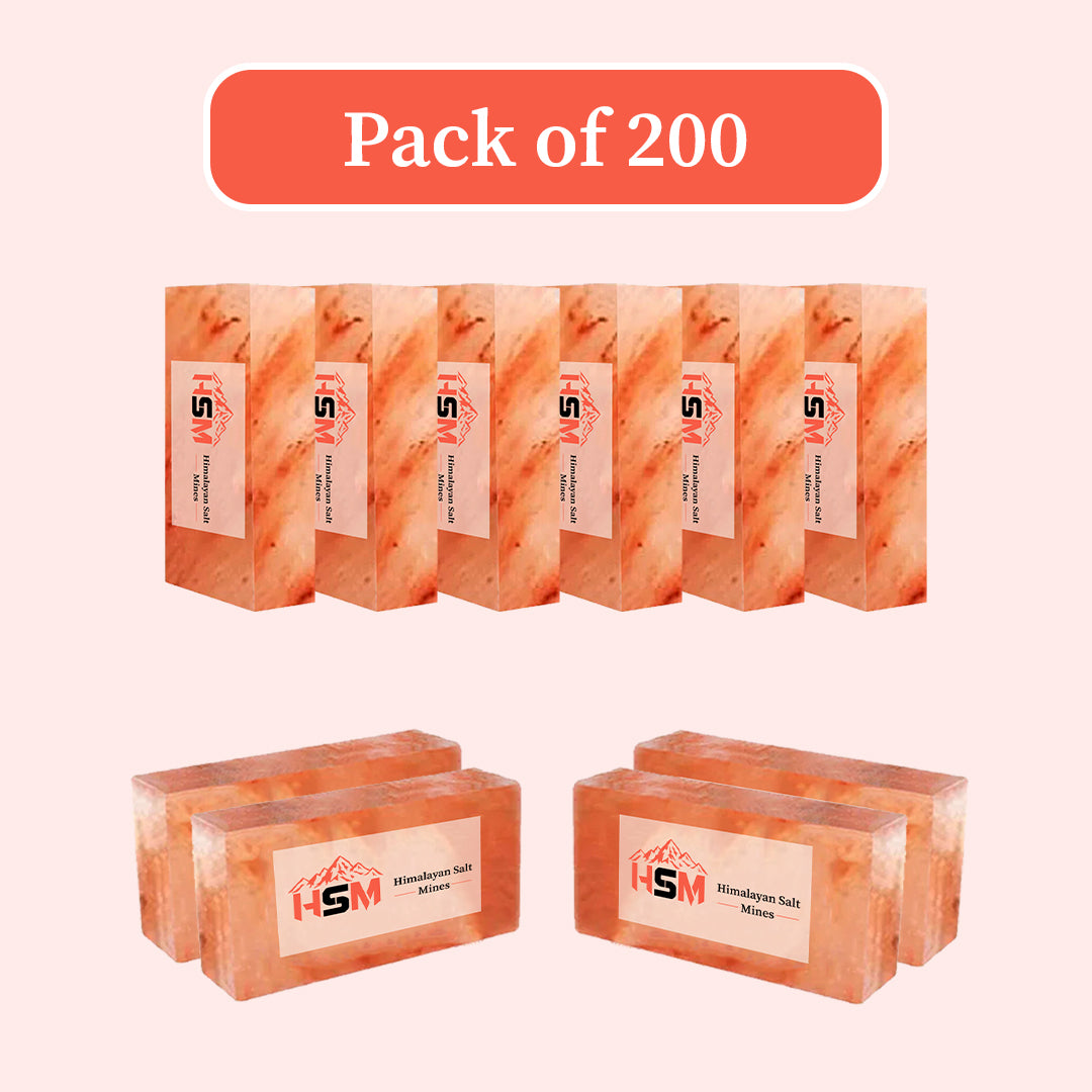Wholesale Himalayan salt bricks, pack of 200